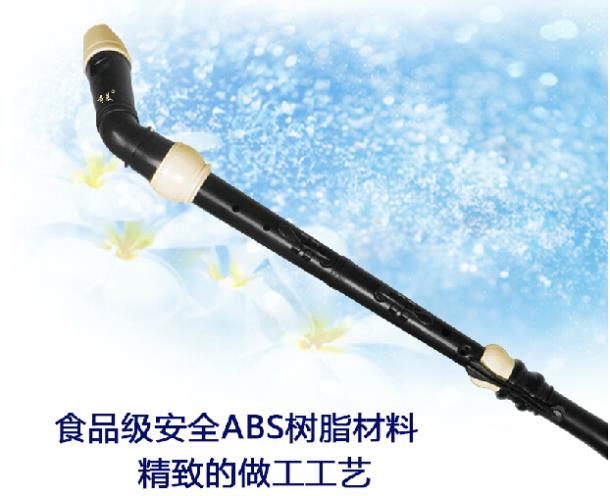 Профессиональный 8-отверстий б – обзор и цена Musical Instrument In Chinese